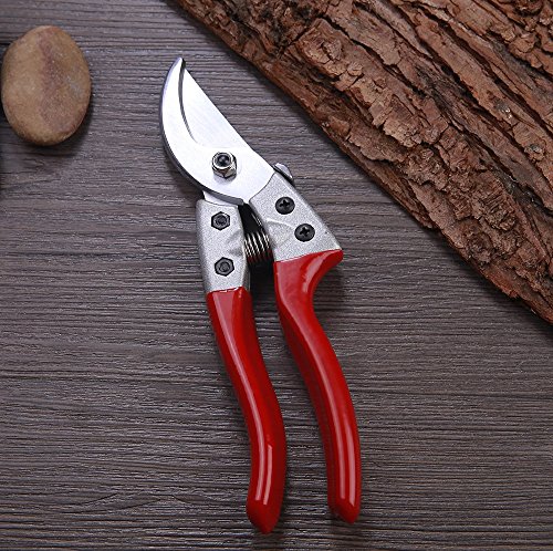 Gartenschere – Smaier Hand Schneide Schere zum Schneiden von Hecken, Unkraut, Rasen und zum Gras Schneiden Rosenschere ideal für professionelle Gartenarbeiten – Ergonomischer Griff - 5