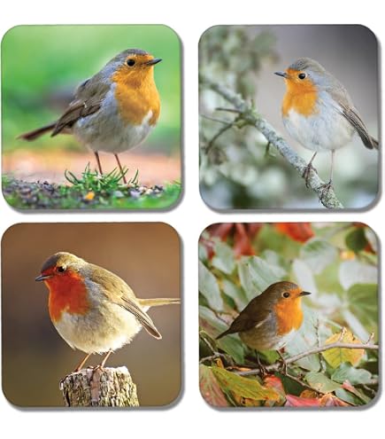 Set di 4 sottobicchieri in vetro Robin invernali in confezione regalo