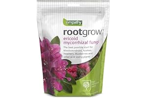 REDIFY Empatia Rootgrow Ericoid Mycorrhizal Fungi per Rododendri e Azalee (2)
