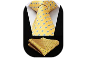 HISDERN Cravatta Uomo Elegante a Pois Cravatte e Fazzoletto da Matrimonio Set Cravatta da Business