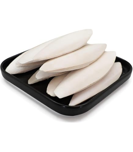 Sepiaschalen Für Vögel – 10 Stück, Natürlicher Kalklieferant, Zum Kauen & Schnabelwetzen, Für Papageien & Wellensittiche