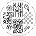 Born Pretty Nail Art Stamping Template Image Plate Chic Rose Flower