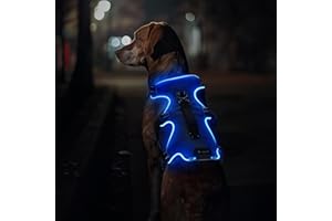 Jewyow Harnais lumineux pour chien à 3 points pour chiens de taille moyenne et grande taille, harnais pour chien à DEL rechargeable avec 4 sangles réglables, 3 modes, imperméable pour promener la