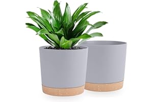 QCQHDU Bumentöpfe 2er Pack 25.4cm,Bumentöpfe für Zimmerpflanzen mit Entwässerungslöchern und abnehmbarem Boden,Untersetzer Modern Dekorativ für Garten Pflanzgefäße im Freien(Hellgrau 25.4cm