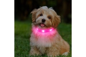 PcEoTllar Świecąca obroża dla małych psów, LED, ładowana przez USB, świecąca obroża dla psów, szczeniaków, bezpieczeństwo w nocy, z 3 trybami świecenia, różowa