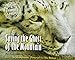 Saving the Ghost of the Mountain: An Expedition Among Snow Leopards in Mongolia (Scientists in the Field Series) by 