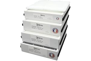 BRIZZ – Filtro compatible para purificador de aire ALDES InspirAir Home SC240 – Tipo de filtración: polvo