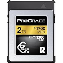 ProGrade 325GB CFexpress Type Bカード #1 61WrXKqDQYL._AC_UL210_SR210,