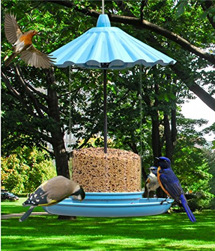 Preisvergleich Produktbild SHKY Vogelfutterautomat Füttert Futtertrog Automatisch