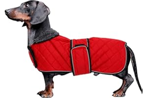 Morezi Manteau d'hiver pour teckel avec doublure en polaire rembourrée - Vêtement d'extérieur pour chien avec bandes réglables - Rouge - XS