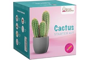 Grow Buddha Kit de Cactus Cultiva Tus propias Semillas de Cactus Kit de Inicio - cultiva fácilmente Hermosas variedades de Plantas de Cactus con Nuestro