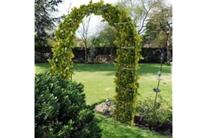 LIZZIE JACOBS Arche de jardin robuste avec cadre en acier pour plantes grimpantes, fruits, roses, légumes, décoration d'intérieur et d'extérieur pour jardin, pelouse, patio, cour, mariage