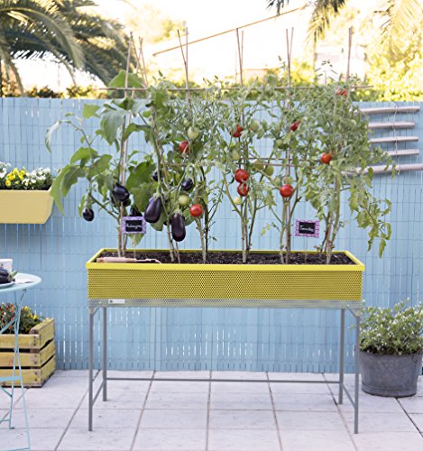 Green Passion Metallhochbeet. Hochwertiges Sortiment, Pflanzbeet, Kräuterbeet, Gemüsebeet für Balkon & Terrasse 120x56x80 cm.Gelb-Farbe