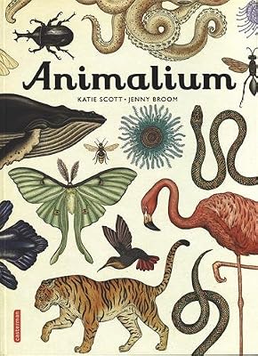 CASTERMAN Animalium