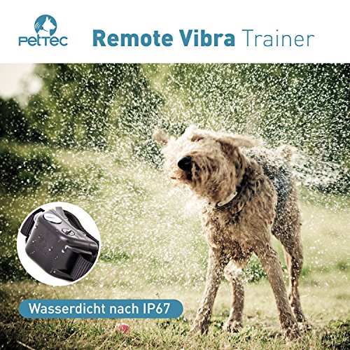 PetTec-Remote-Vibra-Trainer-Educational-collar-with-remote-control-for-sound-signal-or-vibration-250m-range