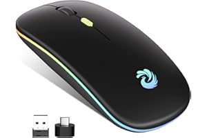 BQSS Souris Sans Fil Rechargeable, Souris Rétroéclairée de 7 Couleurs, Souris Silence Optique 1200-1600 DPI Réglable avec Mini Récepteur USB 2,4 GHz, pour Mac,Ordinateur,PC,Ordinateur Portable,Windows