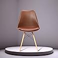 Bhumika Overseas Eames Replica Nordan DSW Stylish Modern Furniture Plastic Chairs with Cushion Brown Color