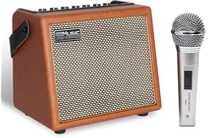 DELLERSOUND Coolmusic BP Sing Karaoke Machine with 1 Microphone, Portable Bluetooth Speaker with OTG Supports USB, AUX, Rec, TWS, Karaoke System for Karaoke, Party, PA System for Adults / Children