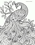 Image de Coloring Cover Notebook (Peacock Pattern): Notebook for note taking, writing, research, and journaling with coloring design on cover for therapy, ...