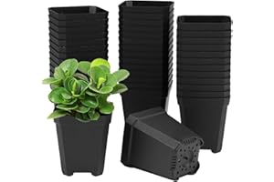 WhizNook 100 Pièces Pot de Pépinière 5cm, Godet Semis Carrés en Plastique, Petits Pot pour Semis avec des Trous dans Le Fond, pour Diverses Plantes, Fleurs, Semis, Boutures, Greffes (Noir)