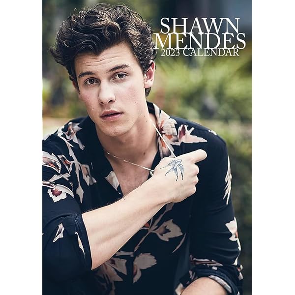 shawn-mendes-calendar-2023-amazon-co-uk-stationery-office-supplies