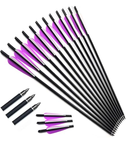 Pack 6 flèches carbone 20 pouces + 6 pointes de chasse