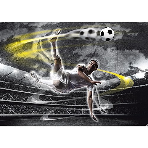 Vlies Fototapete PREMIUM PLUS Wand Foto Tapete Wand Bild Vliestapete - Fußball Stadion Mann Spieler - no. 1353, Größe: 368 x 254 cm Blueback Papier