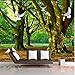Produktbild Lifme Dekoration Fotohintergrund Für Das Wohnzimmer Taubenbaum Rattan Büro Badezimmer Hotel Wandbild Wandmalereien-3D Papier-350X250Cm