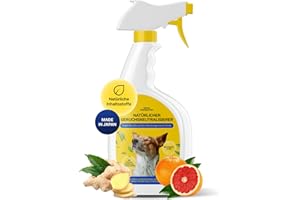 ‎JAPAN PREMIUM PET Japan Premium Natürlich Geruchsneutralisierer & Fleckenentferner | Hundeurin Geruchsentferner mit Yomogi & Catechin | Besser als herkömmlich Enzymreiniger | 270 ml mit Bergkräuter Frischeduf