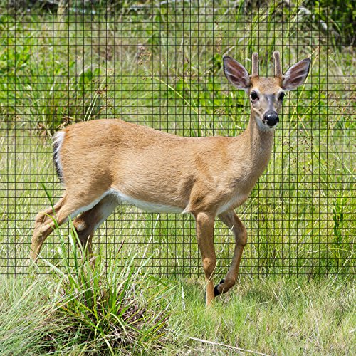 ORIGINAL Aspectek Gartenzaun, Wildzaun, Weidezaun, Forstzaun, Drahtzaun, STARK GEGEN Hirsche, Rehe, Wildschweine, Dachse, Hasen & mehr Wildtiere & Schadtiere TOP QUALITÄT (30x2m) - 4