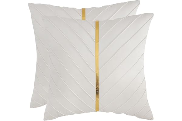 Tosleo Beigefärgat prydnadskuddöverdrag i sammet, 50 x 50 cm, förpackning med 2, med guld läder, dekorativt soffkuddöverdrag, lyxiga och moderna örngott för vardagsrum, sovrum, soffa, säng