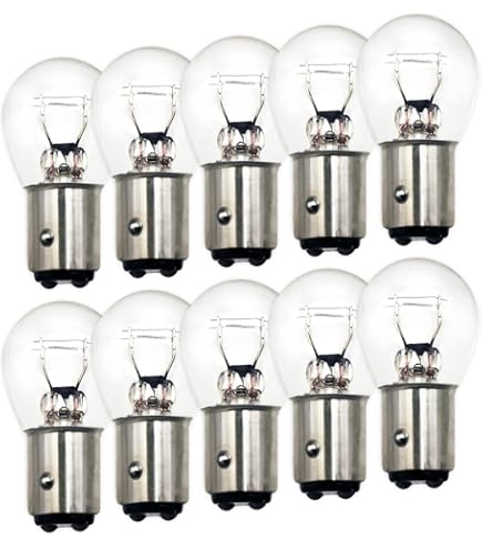 Hallenwerk 100x Stück 24V LKW Nfz AUTO LAMPEN P21/5W