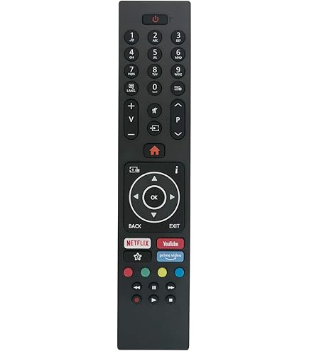 Philips RC313923823419 vervangende afstandsbediening