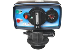 PENTAIR Vanne Fleck 5600 Chronométrique Inj. 0