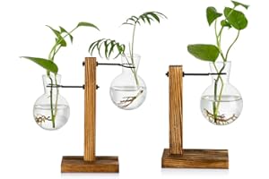 GLASSEAM Vase En Verre 2 Pièces Avec Support En Bois, Vases Hydroponiques En Verre Coeur Moderne, Jardinière De Bureau De Station De Propagation Pour La Décoration De Bureau À Domicile (Vase À 3 Ampoules)