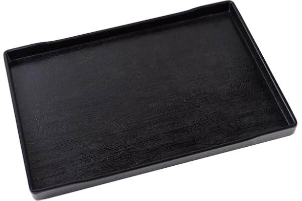 OMEM Grand Bol pour Reptiles - pour Nourriture et Eau - Convient également pour Le Bain (XL, Noir)