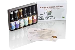 E-TASTING Coffret Cadeau – Lot 6 Vins de France bio - Dégustation Vin Rouge/Blanc/Rosé - Coffret Cadeau Gourmet et Plaisir - 6 x 40 ml - Balade œnologique – Bordeaux – Bourgogne – Alsace