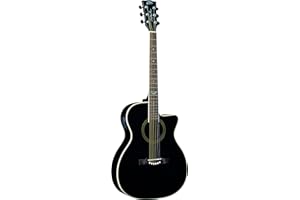 Eko GUITARS - NXT A100CE SEE THROUGH BLACK, Chitarra Acustica Top in Abete, Fasce e Fondo in Mogano, Tastiera in South American Roupanà, Dreadnought Cutaway, Colore Nero