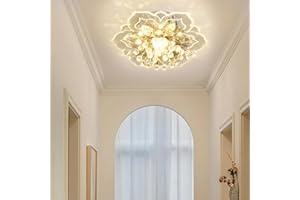 ‎AHXIAOZN AHXIAOZN Moderne Kristall Deckenleuchte,Mini Kristall Deckenleuchte,Runde Kristall Kronleuchter, für Flur Wohnzimmer Schlafzimmer Küche Eingang Lampe,LED Kristall Deckenleuchte,Silbrig
