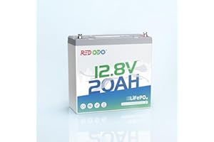 Redodo 12V 20Ah LiFePO4 Batterie, Batterie Lithium 4000+ Deep Cycles avec BMS 20A, 256Wh d'Energie, Parfaite pour Détecteurs de Kayak, Pêche sur Glace, Moulinets de Pêche Electriques, GPS, Camping