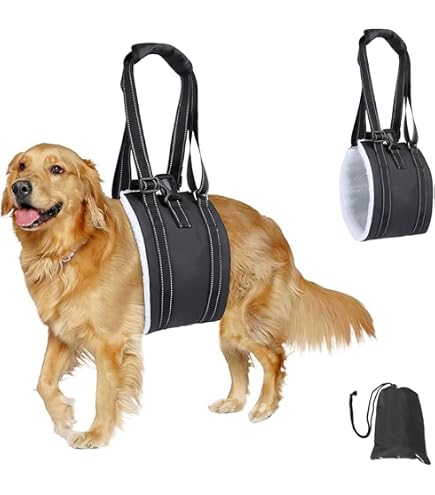 Imbracatura Zaino Per Cani GOEDCH — Supporto Zampe Posteriori, Per Trasporto Scale/Auto, Cani Anziani O Con Artrite (19-30 Lbs)