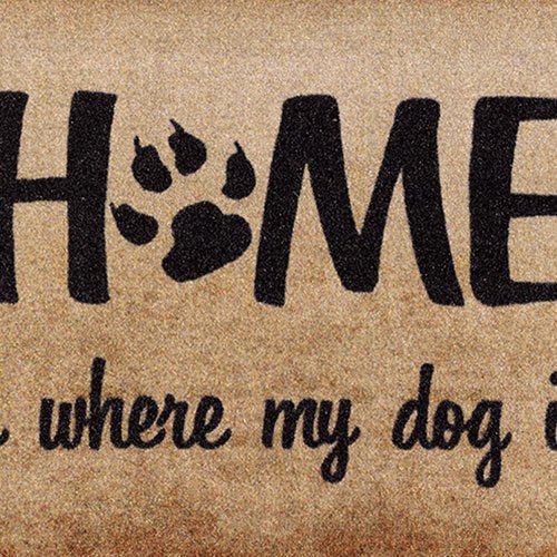 Fußmatte Mein Hund 50×70 cm groß, Waschbar für Außen Innen, Lustige Schmutzfangmatte Beige Rutschfest ohne Trittrand, Teppich für Haustüre Flur Wohnzimmer, Home is where my dog is Fußabtreter Geschenk - 2