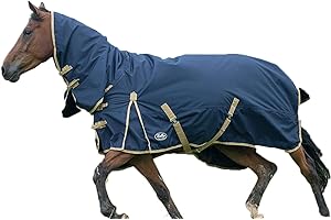 Gallop Trojan 600d Combo Neck 100g Turnout Rug 6'6" (EU 145cm)