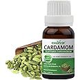 Essancia Cardamom Essential Oil for Respiratory Health & Aromatherapy - 100% Pure, Natural, Undiluted Therapeutic Grade (15ml)