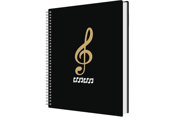 Irich A4 Chemises à Dossier, Chemises pour Partitions en Plastique Imperméable, 50 Compartiments/100 Pages, pour Documents Papier œuvres d'art Peintures Photos (31,5 x 24,6 cm, Noir)