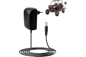 DOZYLIVE Cargador Coche Electrico Niño 12V, Salida DC 1A Cargador Bateria de Vehículo Eléctrico para Niños Juguetes Moto SUV ATV Coche Quad,Conector 5,5 mm x 2,1 mm
