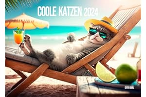 ‎EDITION SEIDEL Edition Seidel Premium Kalender Coole Katzen 2024 Format DIN A4 Wandkalender Katzenkalender Tiere mit Sprüchen Katze lustige Sprüche Motivation