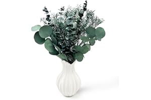 CAWISHED Flores secas preservadas, Verdes, Frescas, de eucalipto Real, Tallos y Ramas con 3 Tipos para arreglos Florales, decoración de Bodas y decoración del hogar