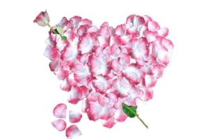 JONAMI 3000 Petali di Rosa in Seta Artificiale Bianchi e Rosa per Decorazione Romantica, San Valentino, Anniversario Matrimonio e Fidanzamento