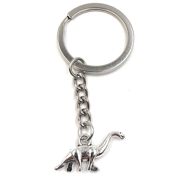 Dino-Schlüsselanhänger Aus Metall – Lustiger Glücksbringer Für Freund, Freundin, Mama Oder Kinder (Onwomania)